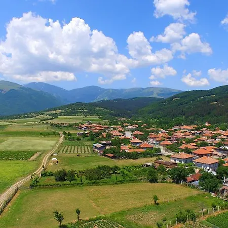 Georgievi